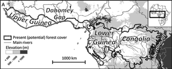 A map illustrates two factors named present forest cover and main rivers from 0 to 1000 kilometers. Upper Guinea, Dahomey gap, lower Guinea and Congolia are depicted.