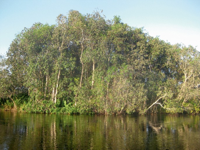 A photograph of a mountain view with green trees and rivers.