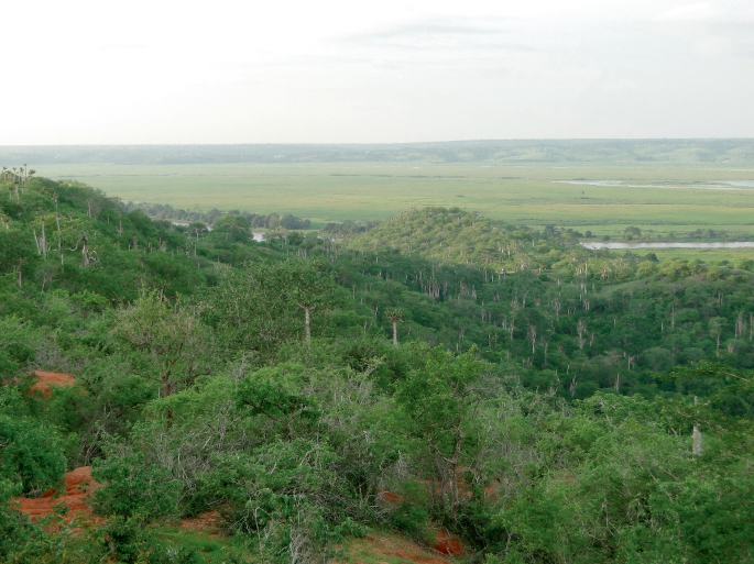 A photograph. The top view of an area displays the area covered with trees and small hills spread in the region.