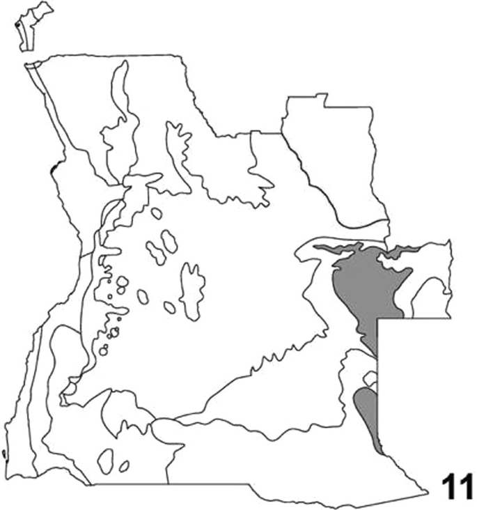A map of ecoregions in which flooded grasslands of Zambezian are shaded.
