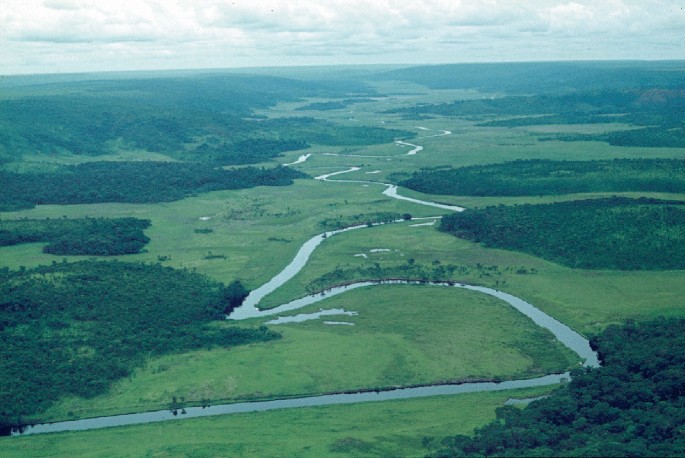 A photograph of an aerial view of a flood plain with grasses and trees.