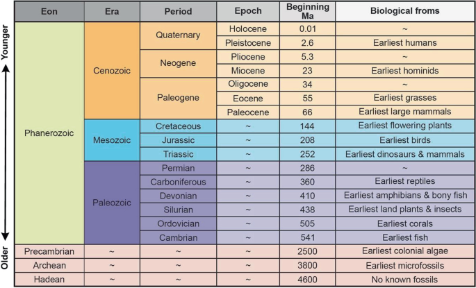 A tabular data portrays geological timescales classified as eon, era, period, epoch, beginning Ma and biological forms in older to younger people.