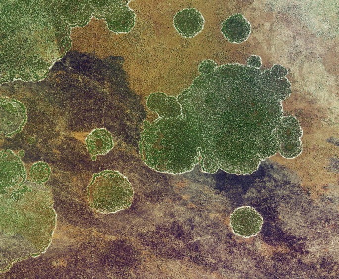An aerial image of the Angola region represents the fairy forest fairy circles.