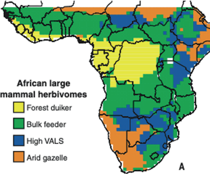 A map explains the distribution of African large mammal herbivomes as forest duikers highlighted in yellow, bulk feeder in brown, high VALS in blue and arid gazelles in green.