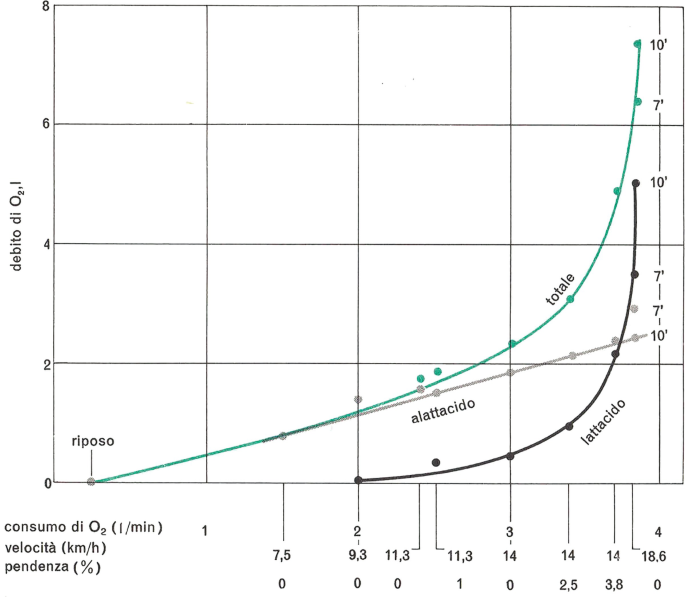 A line graph represents the total alactacid and alactacid debt versus oxygen consumption. 3 lines increase, with the total peaking at around 7.8, the lactacid peaking at around 5, and the alactacid peaking at around 2.2.
