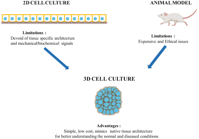 3D Cell Culture Techniques | SpringerLink 3D Cell Culture Techniques | SpringerLink