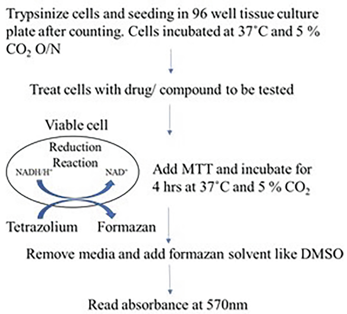 A flow diagram depicts the tetrazolium reduction cell viability assays. The reduction reaction in the oval illustrates the function of the viable cell.