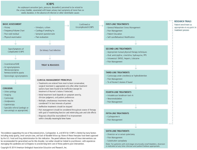 Thera-Seat, interstitial cystitis and pudendal nerve entrapment relief 