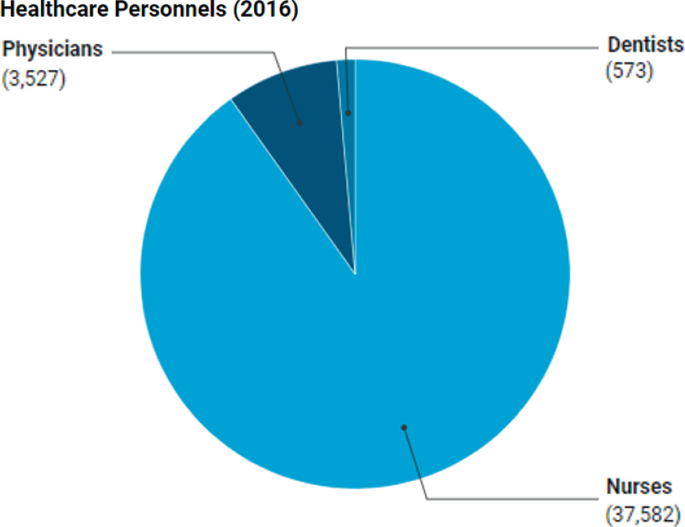 A pie chart of the health care personnel in 2016. It has nurses 37,582, dentists 573, and physicians 3,527.