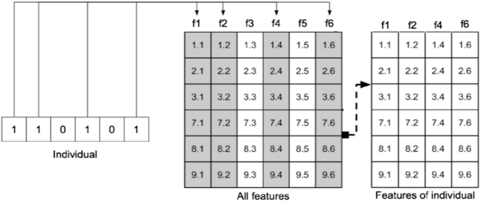 An illustration depicts the individuals in 0 and 1 selecting functions from all features to obtain the features of individuals in a 6 x 4 matrix.