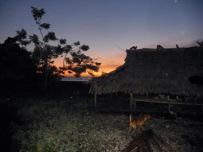 A photo of a sunset and a hut next to a beach.