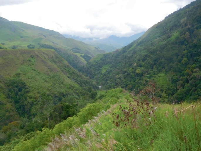 A photo of forests and grasslands.