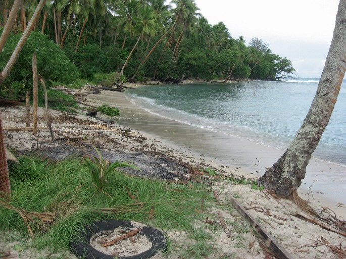 A photograph of coastal Papua New Guinea.