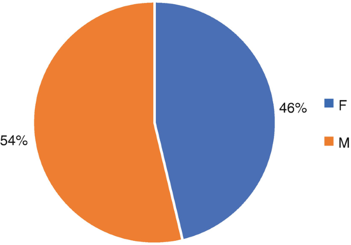 A pie chart illustrates the presentation by gender. For males, 54%, and for females, 46%.