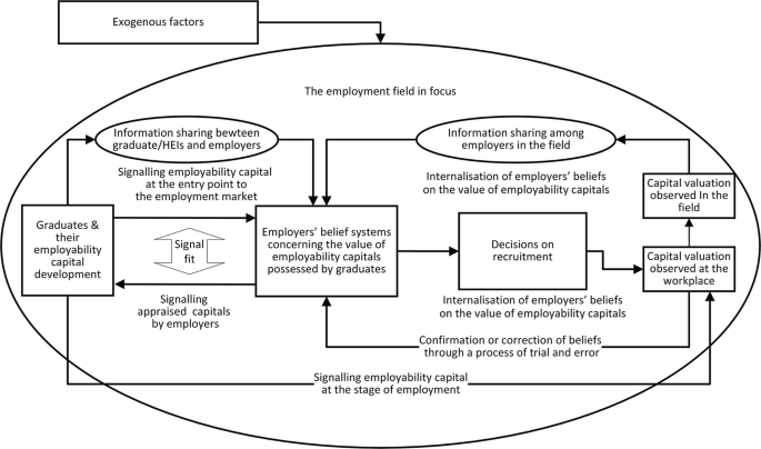 A block flow diagram of employer's perception. It includes exogenous factors, employability capital development, belief system, information sharing between graduates and employers, information sharing among employers, capital valuation in the field and workplace, and decisions on recruitment.