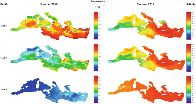 6 heat map of spatial distribution of seawater temperature in celsius and salinity for summer in the Mediterranean basin. The depth is in meters 26.20, 51.38, 249.9.