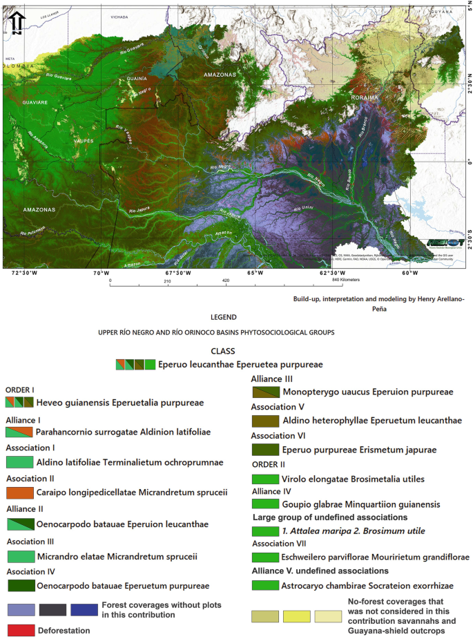 The Forests of the Upper Rio Negro (North-Western Amazon) and Adjacent  South-Western Orinoco Basins: A Phytosociological Classification |  SpringerLink