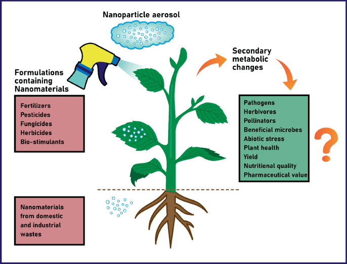 An illustration of the formulations containing nanomaterials being sprayed on plants, which leads to secondary metabolic changes.