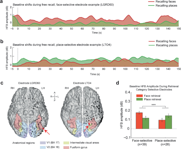 Neuronal baseline shifts underlying boundary setting during free recall