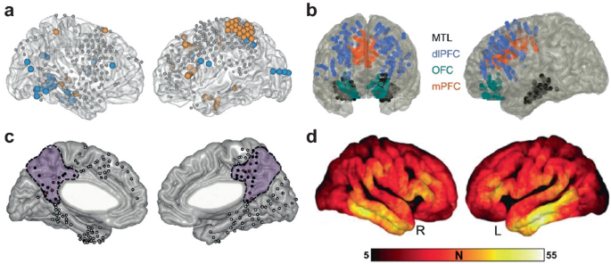 Results of whole brain analyses in the test scan. a The left parietal