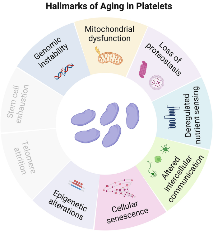 inhaled glutathione asthma bronchospasm sulfite Oxidative Stress in Asthma | World Allergy Organization Journal