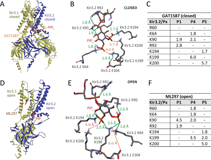 PI(4,5)P2 and Cholesterol: Synthesis, Regulation, and Functions