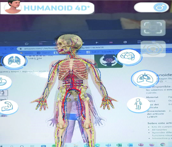 With a virtual reality video game, anatomy can be learned in universidad  del rosario