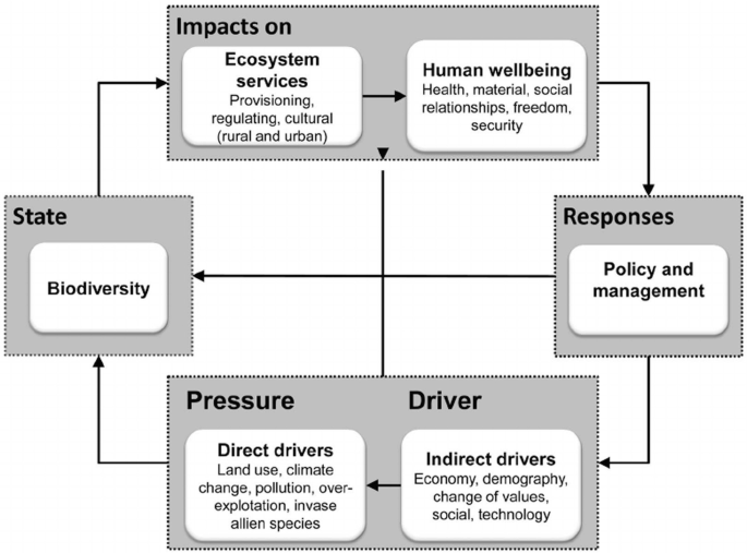 A data model illustrates the connection between impacts on, responses, pressure and driver, and state. Impacts include ecosystem services and human well-being. Responses include policy and management. Direct and indirect drivers make up pressure and driver. Biodiversity constitutes the state.