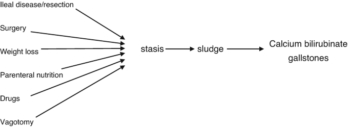 A horizontal flowchart. Ileal disease, surgery, weight loss, parenteral nutrition, drugs, and vagotomy point to stasis. It points to sludge. It further points to calcium bilirubinate gallstones.