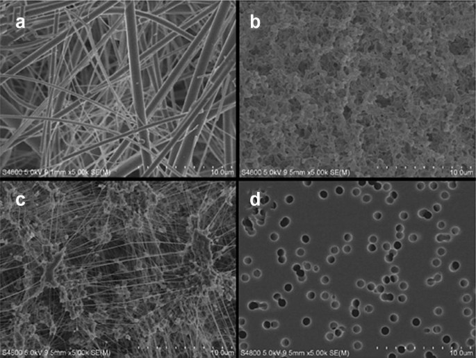 4 electron microscopic images of filter material. The structures in each image look like a pile of sticks, cluster of complex substances, cluster of neuron-like structures, and scattered circular particles.