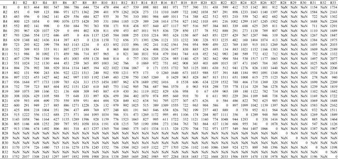 A table of 33 columns and 33 rows. The column headers are, a series from R 1 to R 33. The row headers are a series from R 1 to R 33. The diagonal values are 0.