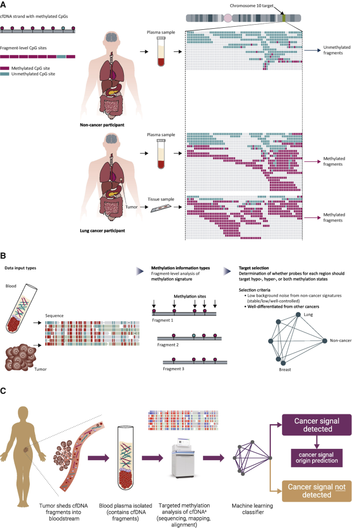 Multi-cancer early detection test in symptomatic patients referred for  cancer investigation in England and Wales (SYMPLIFY): a large-scale,  observational cohort study - The Lancet Oncology