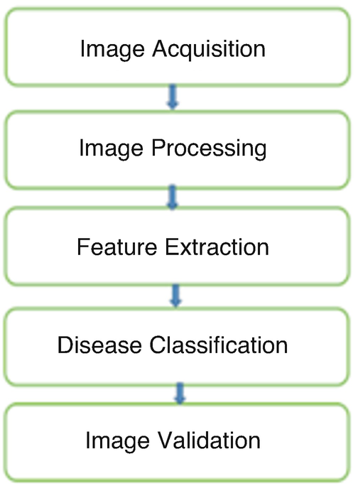 A block diagram of the working principle behind a C N N model has the following flow. Image acquisition, image processing, feature extraction, disease classification, and image validation.