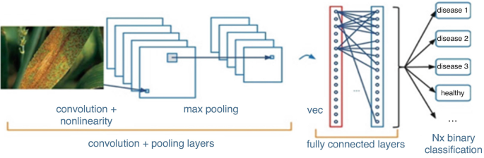 The convolution plus pooling layers have an image of a diseased leaf in convolution plus nonlinearity that connects with the stacks of max pooling layers. It leads to the fully connected layers of v e c that form the N x binary classification of disease 1, 2, 3, and healthy leaves.