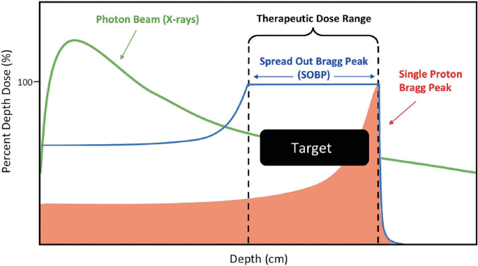 A schema of photon and proton beams depicts treatment for cancer patients. It has three curves for Bragg peak, spread-out Bragg peak, and X-rays. It labels the therapeutic dose range.