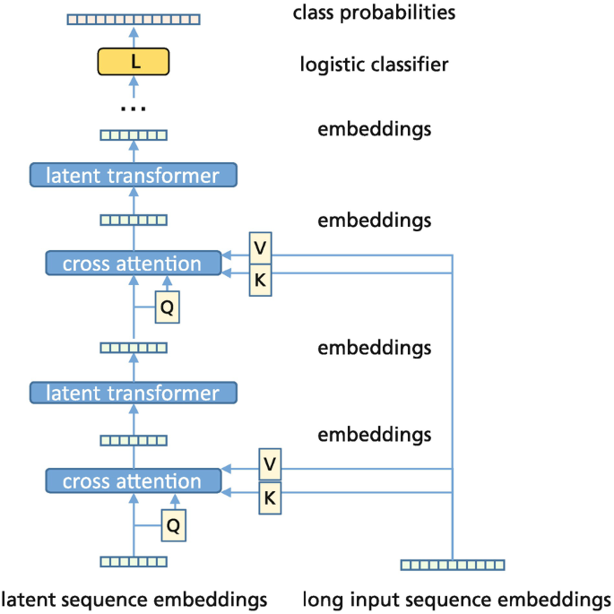 A diagram represents the sequence of actions through the latent sequence embeddings, cross-attention, and latent transformer in an interchangeable manner. It indicates the layers of embeddings, logistic classifier, and class probabilities.
