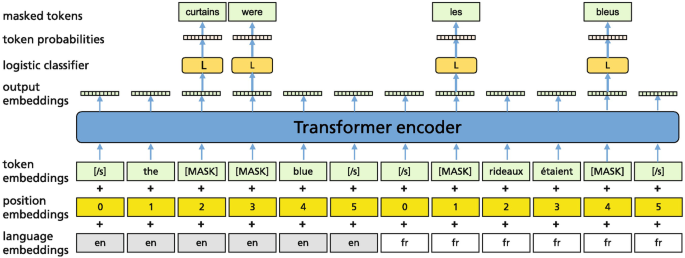 A model diagram represents the approach of translation language modeling. It indicates the layers of language, position, and token embeddings go through the transformer encoder, followed by output embeddings, logistic classifiers, token probabilities, and masked tokens.