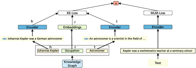 A model diagram represents the input text that goes through the encoder and M L M loss. It also indicates the flow of the knowledge graph through the encoders and embeddings along with the K E loss.