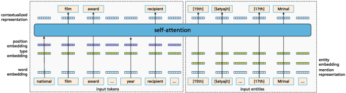 A model diagram represents the input tokens and input entities going through self-attention. It indicates the layers of word embedding, type embedding, position embedding, contextualized representation entity embedding, and mention representation.