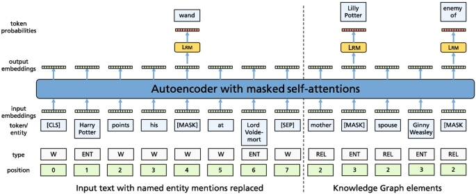 A model diagram represents the input text with named entity mentions replaced and knowledge graph elements going through the autoencoder with masked self-attentions. It indicates the layers of position, type, input and output embeddings, and token probabilities.