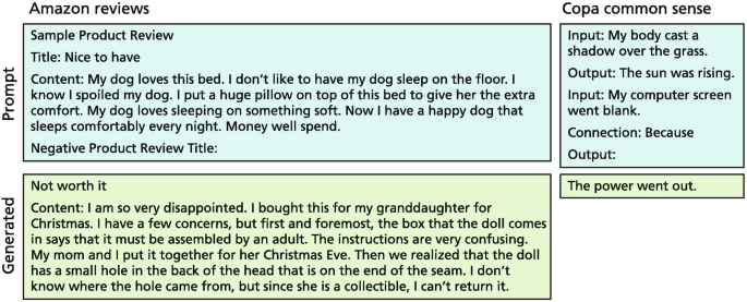 3 text boxes represents the prompts in amazon reviews on the left and the Copa common sense on the right. Each prompt exhibits its generated answer at the bottom.