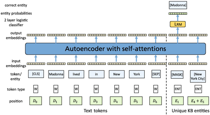 A flow diagram has an input of text tokens and unique K B entities with token types, linked to the input embeddings, autoencoder with self-attentions, output embeddings, 2-layer logistic classifier, and entity probabilities to give the correct entity.