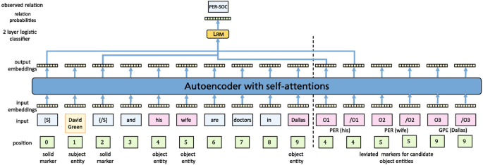 A flow diagram of input tokens and their positions, linked to the input embeddings, autoencoder with self-attentions, output embeddings, 2-layer logistic classifier, and relation probabilities to give the observed relation.