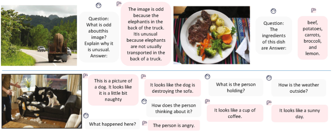 3 photographs, an elephant travels on a truck, a dog damages a sofa set, and a person holds a coffee mug. The meat, vegetables, and American food are placed on a plate. Each has questions with answers, what the person is holding, the ingredients of this dish, and what is odd about this image.