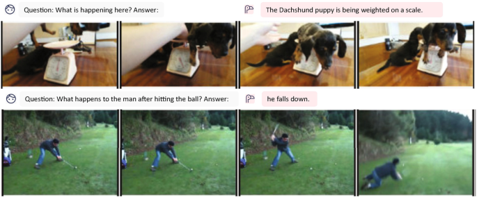 4 photos a weight machine, a dog climbs over it. The question is, What is happening here? and the answer is dachshund puppy is being weighed on a scale. 4 photos of a person plays golf. The question is, What happens to the man after hitting the ball? and the answer he falls down.