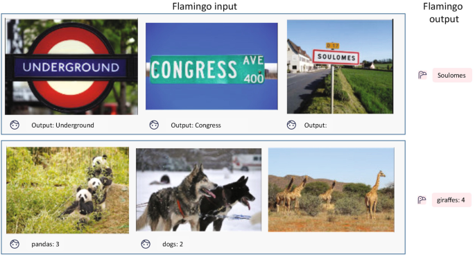 6 photographs of the flamingo output result, namely underground, congress, soulomes, pandas 3, dogs 2, and giraffes 4.