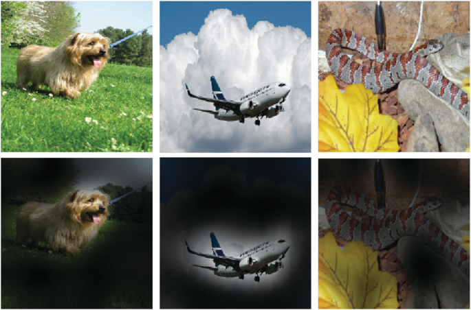 3 panel of photos in row 1 represent a clear view of a dog, a flight, and a snake. 3 panel of photos in row 2 represent the same pictures replicated in a darker mode with a focused view on the dog, flight, and snake.