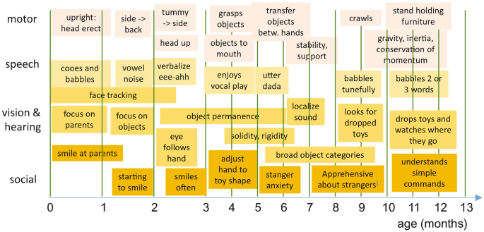 A model chart represents various activities under motor, speech, vision and hearing, and social. The activities are grouped separately between the age of 0 and 13 months. The number of activities increases after the age of 3 months.