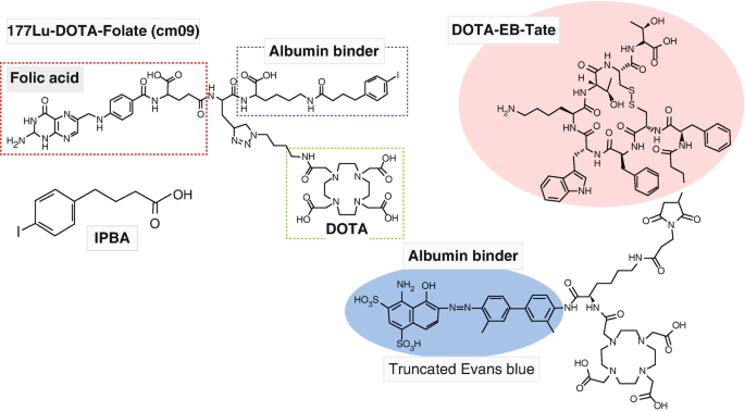 The chemical structure of 177 Lu D O T A folate open parenthesis c m 0 9 close parenthesis. It consists of folic acid, an albumin binder, and D O T A.