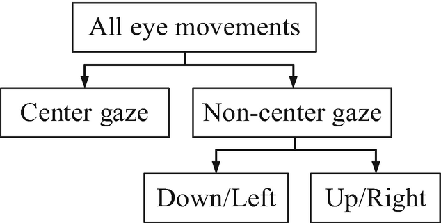 A flowchart describes the hierarchical clustering procedure to classify eye movements. All eye movements divided into center gaze, and non center gaze which further divided into down and left, and up and right.